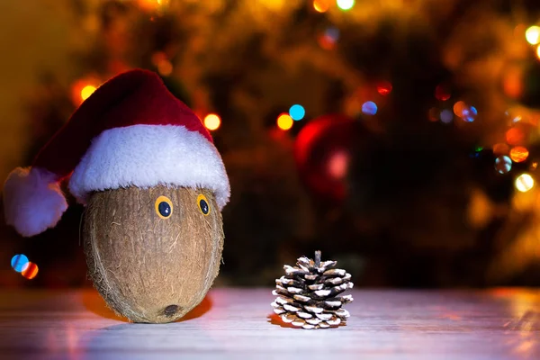 Neujahr Und Weihnachten Konzeptionellen Hintergrund Kokosnuss Einem Hut Aus Weihnachtsmann — Stockfoto