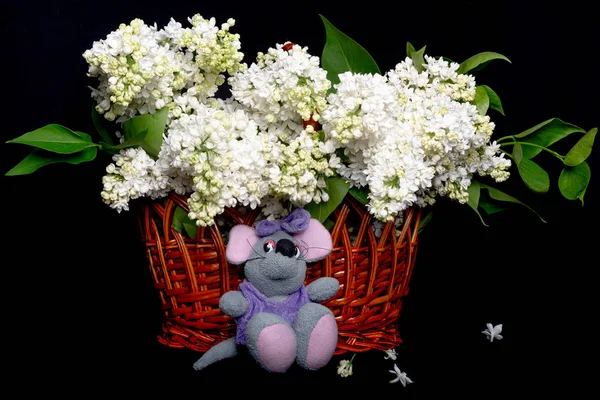 A purple mouse toy sits in front of a rattan basket with a bouquet of white lilac flowers on a black background. Front view, place for text, Copy space.