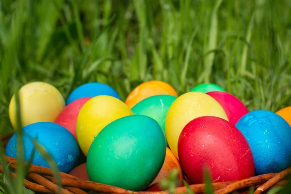 Многоцветные Пасхальные Яйца Лежат Плетеной Корзине Ротанга Которая Стоит Высокой Стоковое Фото