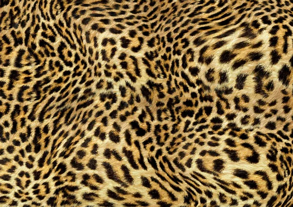 Αφηρημένη Λεοπάρδαλη Σχέδιο Υφή Δέρματος — Φωτογραφία Αρχείου