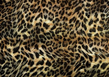 Kürklü leopar derisi deseni