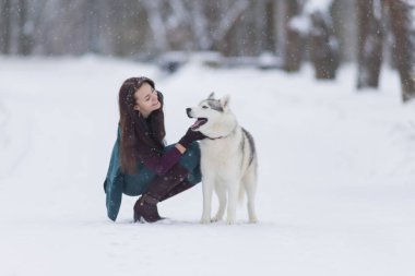 İnsan ve hayvan ilişkileri. Husky köpekle oynamayı Kafkas esmer kadın