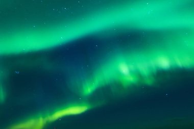 Pitoresk benzersiz Kuzey ışıkları Aurora Borealis bitti Lofoten Adaları Norveç'in Kuzey bölümünde.