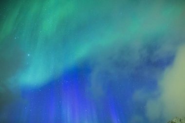 Pitoresk benzersiz Kuzey ışıkları Aurora Borealis bitti Lofoten Adaları Norveç'in Kuzey bölümünde şaşırtıcı.