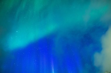 Pitoresk benzersiz Kuzey ışıkları Aurora Borealis bitti Lofoten Adaları Norveç'in Kuzey bölümünde şaşırtıcı.