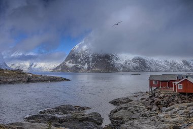 Norveç'te Lofoten Adası'nda geleneksel Norveç köy Hamnoy