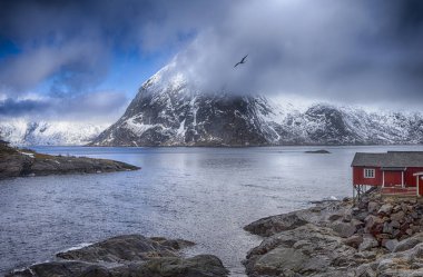 Norveç'te Lofoten Adası'nda geleneksel Norveç köy Hamnoy.