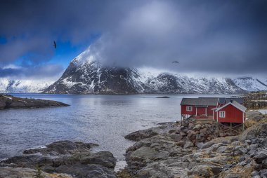 Norveç'te Lofoten Adası'nda geleneksel Norveç köy Hamnoy