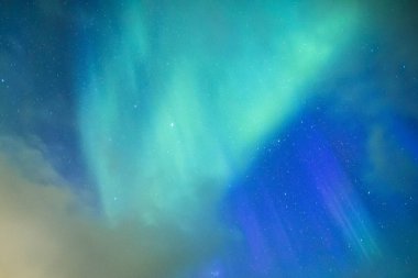 Pitoresk benzersiz Kuzey ışıkları Aurora Borealis bitti Lofoten Adaları Norveç'in Kuzey bölümünde şaşırtıcı.