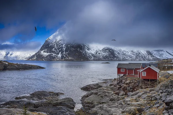 Norveç'te Lofoten Adası'nda geleneksel Norveç köy Hamnoy