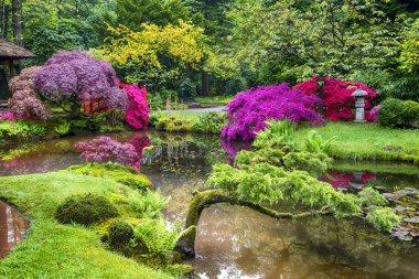 Kavramları seyahat. Japon bahçe Lahey (Den Haag) Hollanda inanılmaz güzel çok oy alan