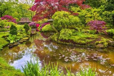İnanılmaz güzel tonda ve renkli Japon bahçe Lahey (Den Haag) Hollanda toplayan