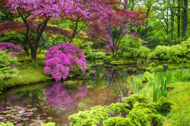 İnanılmaz güzel tonda ve renkli Japon bahçe toplayan