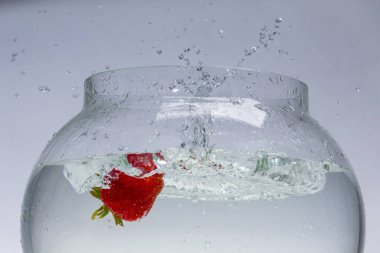 Tatlı su tankı düşen çilek.