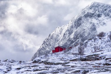 Bir yalnız ayakta geleneksel kırmızı ahşap evde Lofoten Adaları