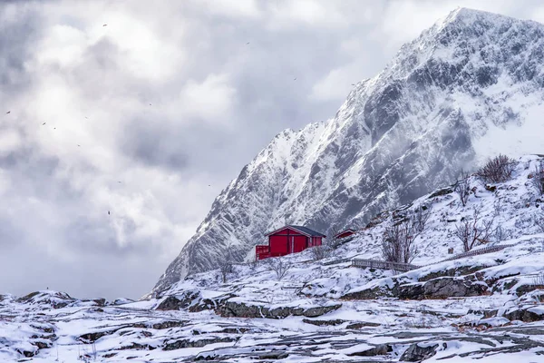 Bir yalnız ayakta geleneksel kırmızı ahşap evde Lofoten Adaları
