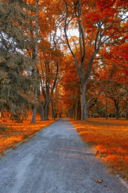 İngilizce Park ve Nesvizh Kalesi karmaşık ve Histori sokakta