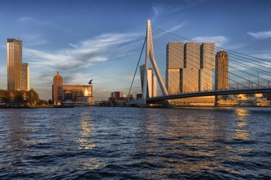 Ismarlayarak akşam Hollanda Rotterdam'da Erasmus Köprüsü