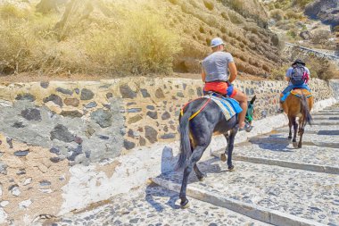 Thira 'da (Fira) Santorini adasının başkenti Katırlarla Yükselen Turist Hattı
