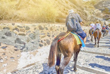 Thira 'da Turist Çekimi Olarak Katırlarla Yükselen İnsanlar 