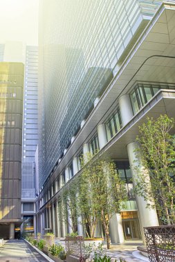Tokyo Büyükşehir Ofisi Gündüz Gökdelen Binaları.