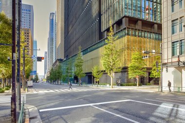 Japonya 'da Tokyo şehri. Tokyo 'nun Merkez Caddelerinden birinde