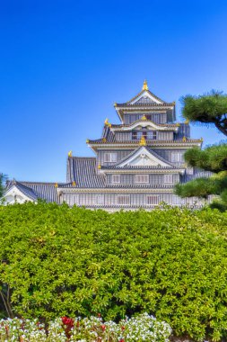 Japonya 'da Gündüz Okayama Şatosu.