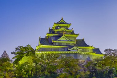 Okayama City 'deki ünlü Okayama Karga Kalesi ya da Ujo Kalesi
