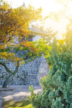 Okayama, Japonya 'daki Korakuen Bahçesi Kalesi' nin duvarlarından biri.