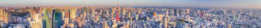 Unique Destinations Concepts. Scenic Panorama of Tokyo Skyline