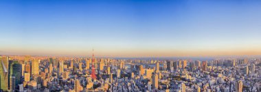 Asian Destinations Concept. Skyline of Tokyo City at Blue Hour