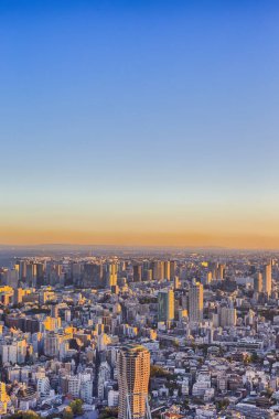 Skyline of Tokyo City in Japan at Blue Hour.