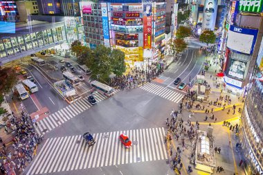 Tokyo, Japan - 12 November, 2019, Shibuya Crossing from Top