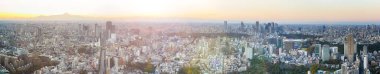 Panoramic View of Tokyo Skyline at Blue Hour in Japan with Mount Fuji