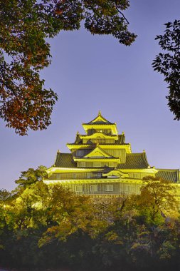 Renowned Crow Castle or Ujo Castle in Okayama City on the Asahi 