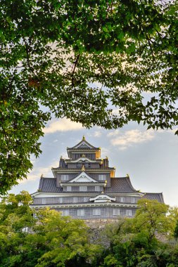 Asian Destinations. Famous Okayama Crow Castle or Ujo Castle