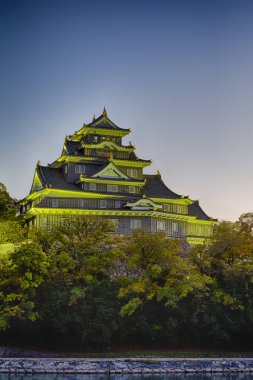 Crow Castle or Ujo Castle in Okayama City on the Asahi River