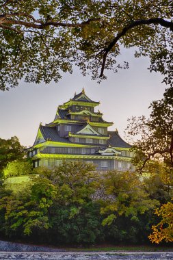 Crow Castle or Ujo Castle in Okayama City on the Asahi River