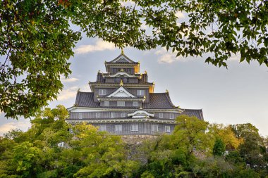 Okayama Crow Castle or Ujo Castle in Okayama City on the Asahi RIver