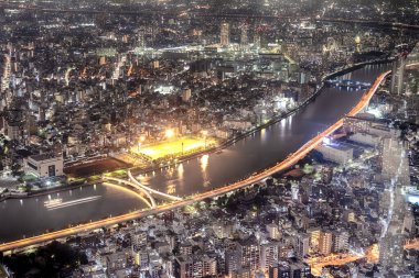 Asian Travel Destinations. Tokyo City Night View