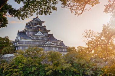 Okayama Crow Castle or Ujo Castle in Okayama City on the Asahi River