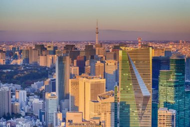 Japonya 'da Blue Hour' da Tokyo City 'nin inanılmaz Skyline' ı The Foreground 'da gökdelenler var. Yatay Resim