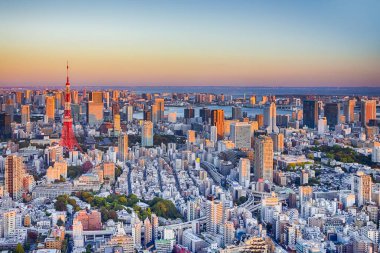 Japonya 'da Blue Hour' da Tokyo Skyline 'ın muhteşem manzarası ve arka planda ünlü Tokyo Kulesi. Yatay Resim