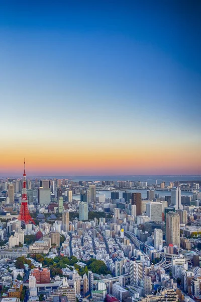 View of Tokyo Skyline at Blue Hour in Japan with a Line of Skyscrapers And Renowned Tokyo Tower At Foreground. Vertical Composition