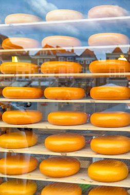 Hollanda 'daki Old City Delft' teki Showcase Raflarından birinde Geleneksel Hollanda Peynir Kafaları Yığını. Dikey resim