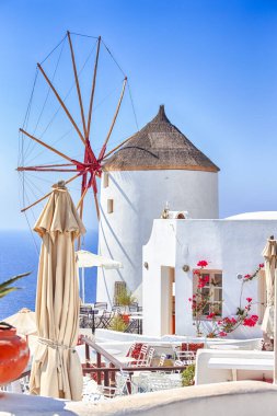 Seyahat Kavramları. Yunanistan 'ın Santorini Adası' ndaki Oia ya da Ia 'daki İnanılmaz Yunan Geleneksel Evlerinin Resimli Manzarası. Arka planda yel değirmeni ve kırmızı çiçeklerle. Dikey resim