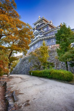 Okayama Karga Kalesi ya da Japonya 'daki Asahi Nehri' ndeki Okayama City 'deki Ujo Kalesi. Ön planda Akçaağaç ağaçlarıyla. Dikey Çekim
