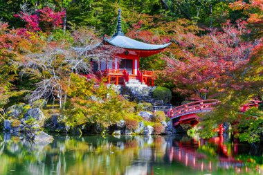 Japon seyahati. Japonya 'nın Kyoto şehrinde Güzel Kızıl Akçaağaç Sonbahar sezonunda ünlü Daigo-ji Tapınağı. Foregorund 'daki Pond Reflections ile. Yatay Bileşim