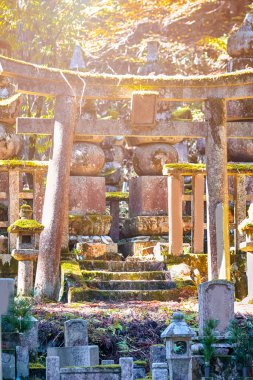 Asya Seyahat Belgeleri. Koyasan Dağı Koya 'daki Okunoin Mezarlığı, 1200 yıllık Japon Shingon Budist Mezhebi Merkezi ile UNESCO Dünya Mirası Alanı. Dikey Vuruş