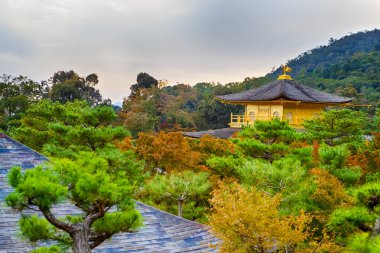 Japon Destinasyonları. Meşhur Altın Pavyon Tapınağı (Kinkaku-Ji) ve Japon Bahçeli Gölet Altın Saat 'te Japonya' nın Güzel Manzarası.
